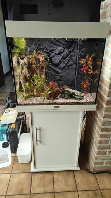 lido 120 aquarium met kast beschikbaar voor biedingen