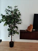 Kunstboom 170 cm, Ophalen, Zo goed als nieuw, Binnen