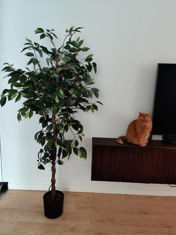 Kunstboom 170 cm beschikbaar voor biedingen
