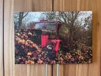 Photo sur cadre en aluminium, Ophalen of Verzenden, Nieuw