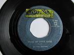 Everly brothers : Wake up little Susie. 1963, 7 pouces, Utilisé, Enlèvement ou Envoi, Single