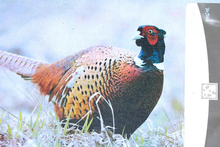 Entryway vloerkleed/deurmat dierenstijl, maken, Tuin en Terras, Deurmatten, Nieuw, Rubber, Schoonloopmat, Binnen, Buiten, Ophalen of Verzenden