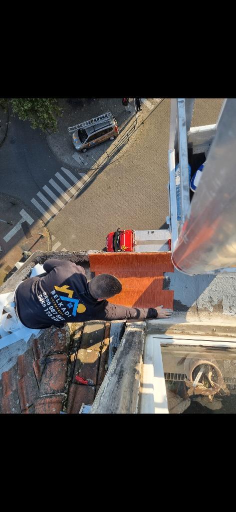 Toiture, Roofing, Rénovation & couleur toiture, Demoussage, Immo, Échange de logement