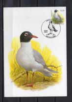 Année 2005 : Carte maximum 3380 - Oiseaux - Mouette melanoce, Timbres & Monnaies, Timbres | Europe | Belgique, Enlèvement ou Envoi