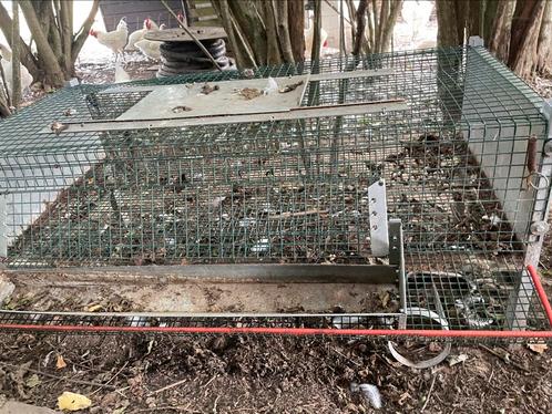 Hok voor kwartels, Dieren en Toebehoren, Pluimvee