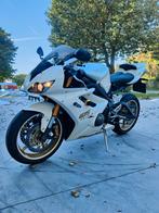 Daytona 675 2008 8610 km., Motos, Motos | Triumph, Plus de 35 kW, Super Sport, Particulier, 3 cylindres