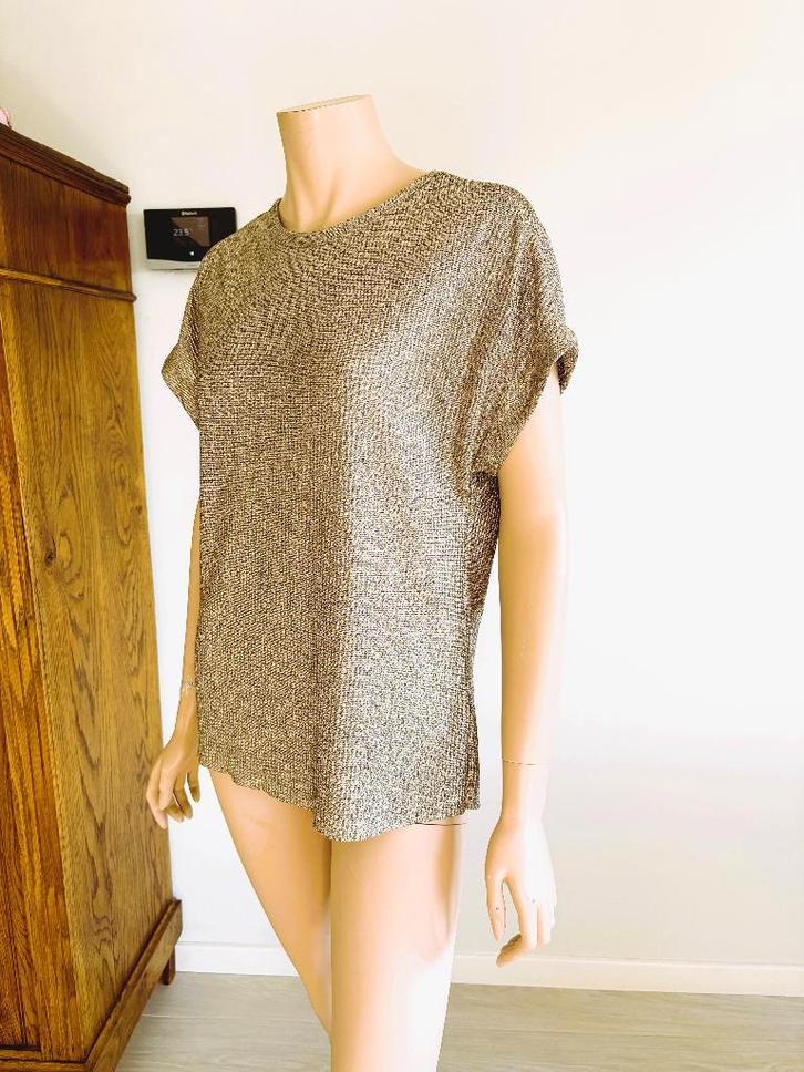 Bristol -Goudkleurige feesttop – Maat XS (valt oversized), Vêtements | Femmes, Blouses & Tuniques, Neuf, Taille 36 (S), Autres couleurs