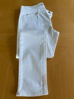 Pantalon Hampton Bays - W31, Taille 38/40 (M), Enlèvement ou Envoi, Blanc, Neuf
