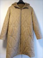 Nieuwe Damesjas, Maat 38/40 (M), Beige, Nieuw, Ophalen of Verzenden