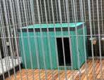 Kunststof hondenhok, Dieren en Toebehoren, Ophalen, Gebruikt