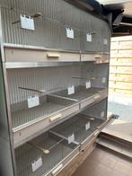 Kweek kooien 120L 120H 30D, Ophalen, Gebruikt, Hout, Broedkooi of Kweekkooi