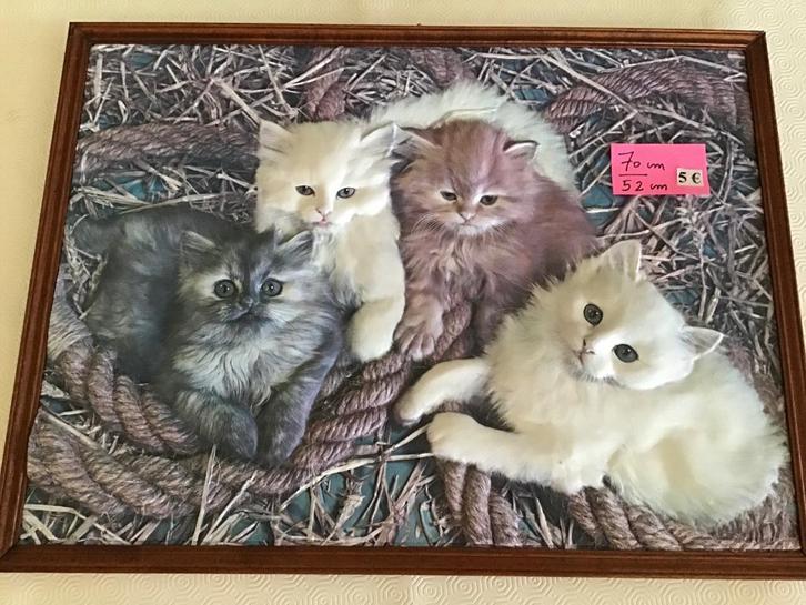 mooi kader met KATTEN van 70 cm op 52 cm, Huis en Inrichting, Woonaccessoires | Wanddecoraties, Zo goed als nieuw, Ophalen of Verzenden