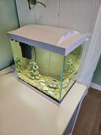 Aquarium 25 liter, Dieren en Toebehoren, Ophalen, Gebruikt