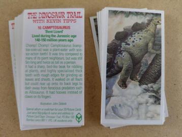 The Dinosaur Trail complete set 20 dino chromos BB111PG beschikbaar voor biedingen