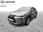 Lexus UX 250h Comfort Line, Auto's, Lexus, Te koop, Zilver of Grijs, Stadsauto, 5 deurs