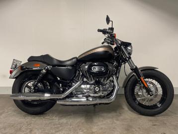 Harley-Davidson SPORTSTER XL1200C CUSTOM (bj 2018) beschikbaar voor biedingen