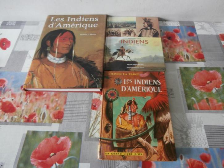 3 beau livres des Indiens d'Amérique, Boeken, Studieboeken en Cursussen, Gelezen, Ophalen