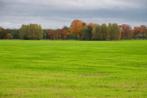 grasland gezocht, Dieren en Toebehoren