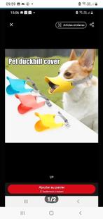 Collier et muselière, Animaux & Accessoires, Enlèvement