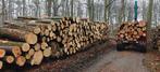 Brandhout stammen, Tuin en Terras, 6 m³ of meer, Ophalen of Verzenden, Beukenhout, Stammen