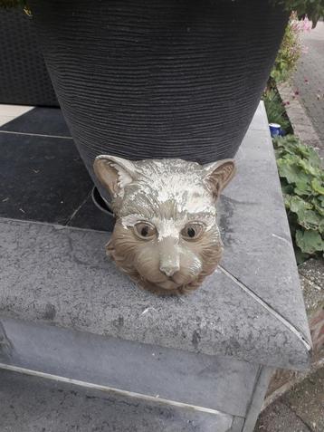 Belle tête de chat en béton coloré, Enlèvement