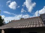 Pannen te koop, Doe-het-zelf en Bouw, Ophalen, Zo goed als nieuw, 15 m² of meer, Dakpannen
