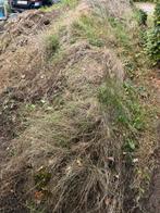 Aanvulgrond, Tuin en Terras, Aarde en Mest, Ophalen