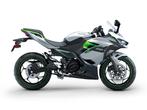 2024 Kawasaki Ninja e-1, Motoren, Bedrijf, Sport