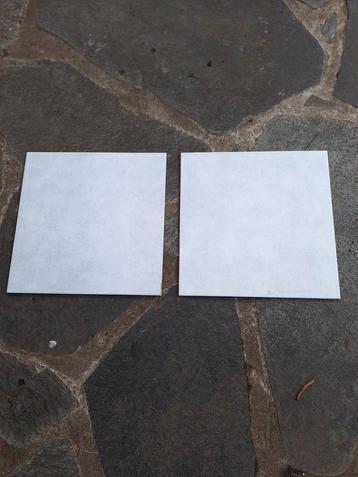 Carrelages 40/40 beschikbaar voor biedingen