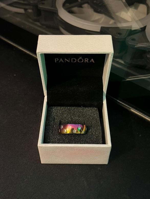 Bagues en Acier Inoxydable (N16), Handtassen en Accessoires, Ringen, Zo goed als nieuw, Ophalen of Verzenden