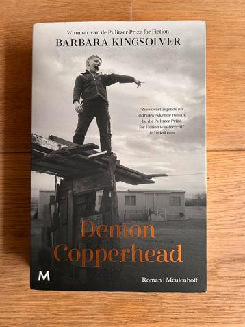 Barbara Kingsolver - Demon Copperhead beschikbaar voor biedingen