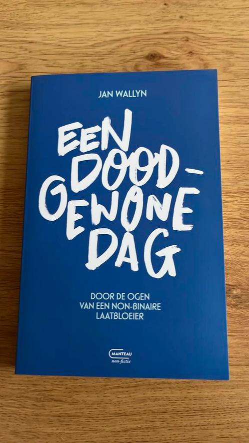 Jan Wallyn - Een doodgewone dag, Boeken, Overige Boeken, Nieuw, Ophalen of Verzenden