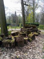 Gratis Brandhout, 6 m³ of meer, Ophalen, Overige houtsoorten, Stammen