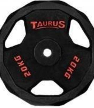 Disques en fonte 20kg Taurus x2