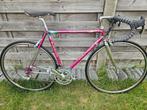 Colnago, Fietsen en Brommers, Fietsen | Oldtimers, Ophalen