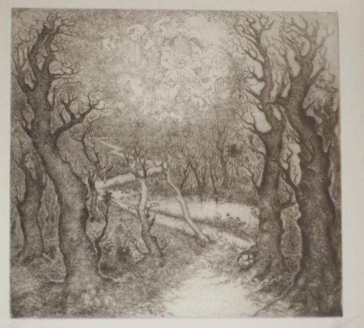 Jan Keustermans (1917-2009): Boswegel  135/150 (44 x 54 cm), Antiquités & Art, Art | Eaux-fortes & Gravures, Enlèvement ou Envoi