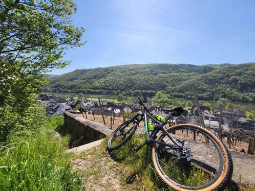 Cube Stereo 120 HPA SL 29" Fully, Fietsen en Brommers, Fietsen | Mountainbikes en ATB, Gebruikt, Heren, Overige merken, Fully
