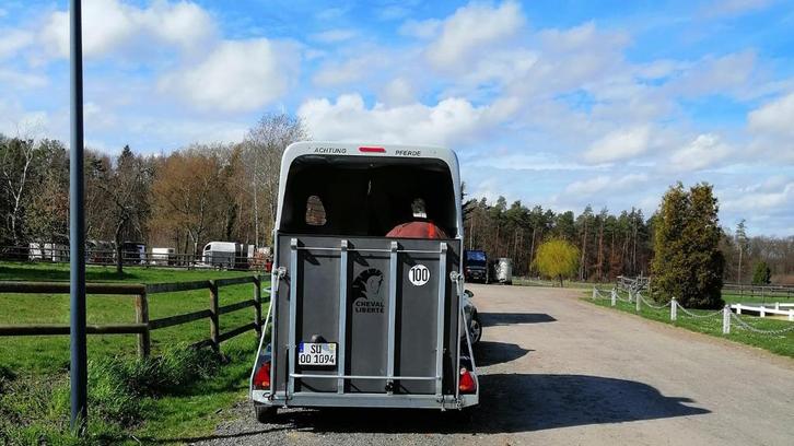 Opleiding tot bestelwagen/rijopleiding, Diensten en Vakmensen, Dieren | Paarden | Verzorging, Oppas en Dressuur, Paardrijles of Ponykampen