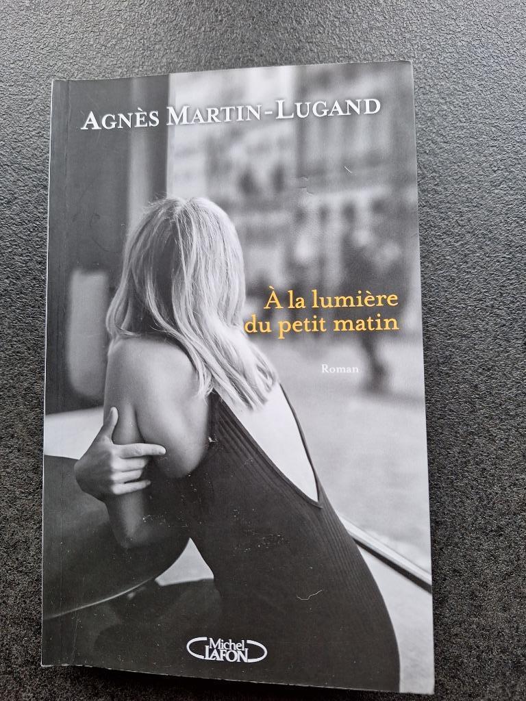 A la lumière du petit matin - Agnès Martin-Lugand, Livres, Enlèvement ou Envoi, Comme neuf, Agnès Martin-Lugand, Europe autre