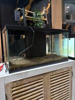 Aquarium, Ophalen, Gebruikt, Overige typen