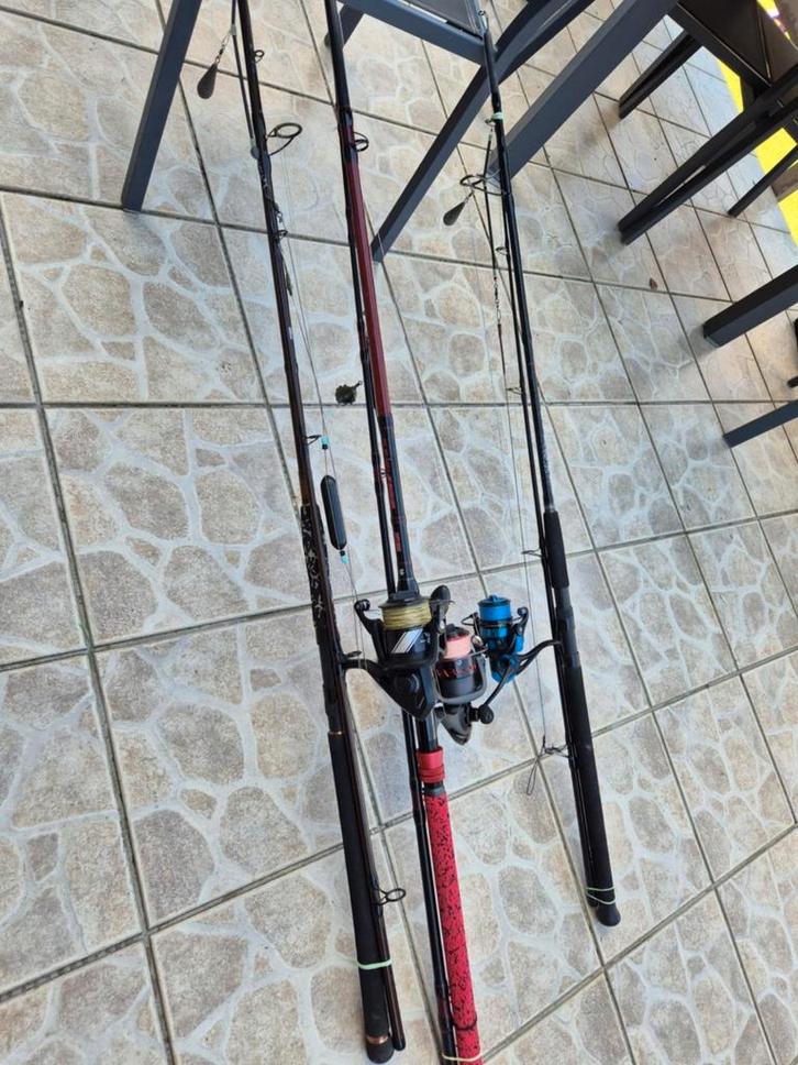 Canne au silure, Watersport en Boten, Hengelsport | Zeevissen, Zo goed als nieuw, Molen, Ophalen of Verzenden