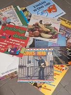 Lot de 34 vinyles néerlandais, Enlèvement