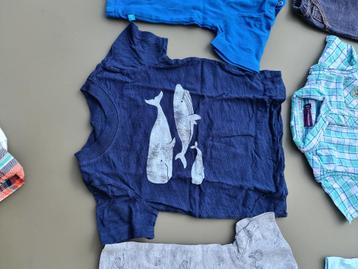 t-shirt met walvissen 12m 80cm beschikbaar voor biedingen