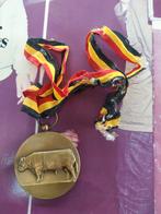 Médaille décoration taureau boeuf syndicat ghislenghien 1980, Bronze, Enlèvement ou Envoi