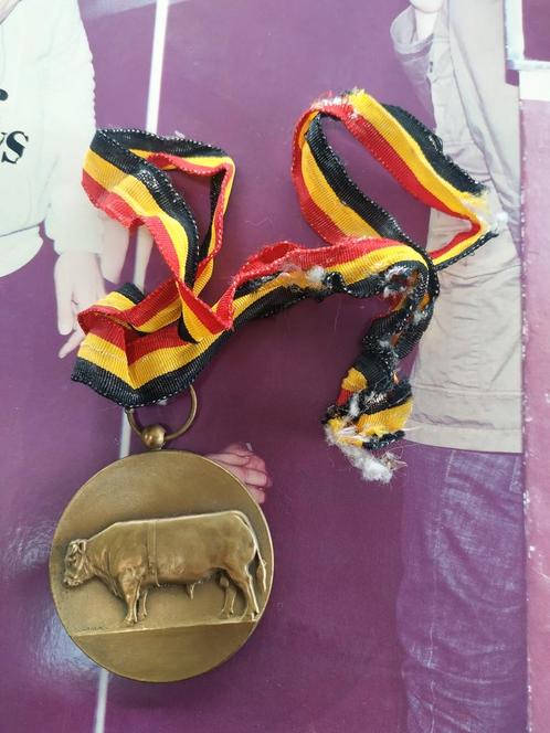 Médaille décoration taureau boeuf syndicat ghislenghien 1980, Timbres & Monnaies, Pièces & Médailles, Bronze, Enlèvement ou Envoi