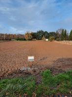 Landbouwgrond, Immo, Nieuwrode, Tot 200 m²