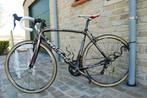 koersfiets SPECIALIZED, Fietsen en Brommers, Fietsen | Racefietsen, Ophalen, Zo goed als nieuw, Carbon