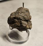 Al Haggounia 001 Meteoriet - 24.77 gram, Overige typen, Ophalen of Verzenden