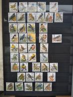 Vogels van Buzin in BEF., Verzenden, Gestempeld
