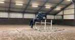Belle jument noire de 11 ans à vendre, Animaux & Accessoires, Jument
